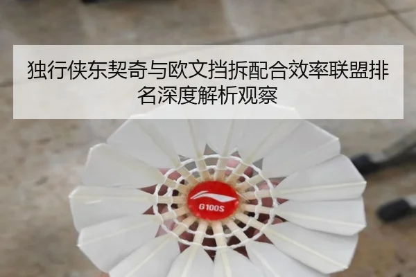 独行侠东契奇与欧文挡拆配合效率联盟排名深度解析观察