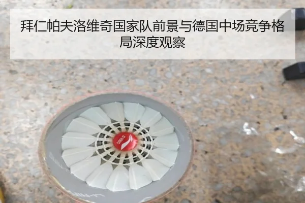 拜仁帕夫洛维奇国家队前景与德国中场竞争格局深度观察